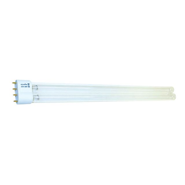 AquaKing lamp PL - 36W 2G11